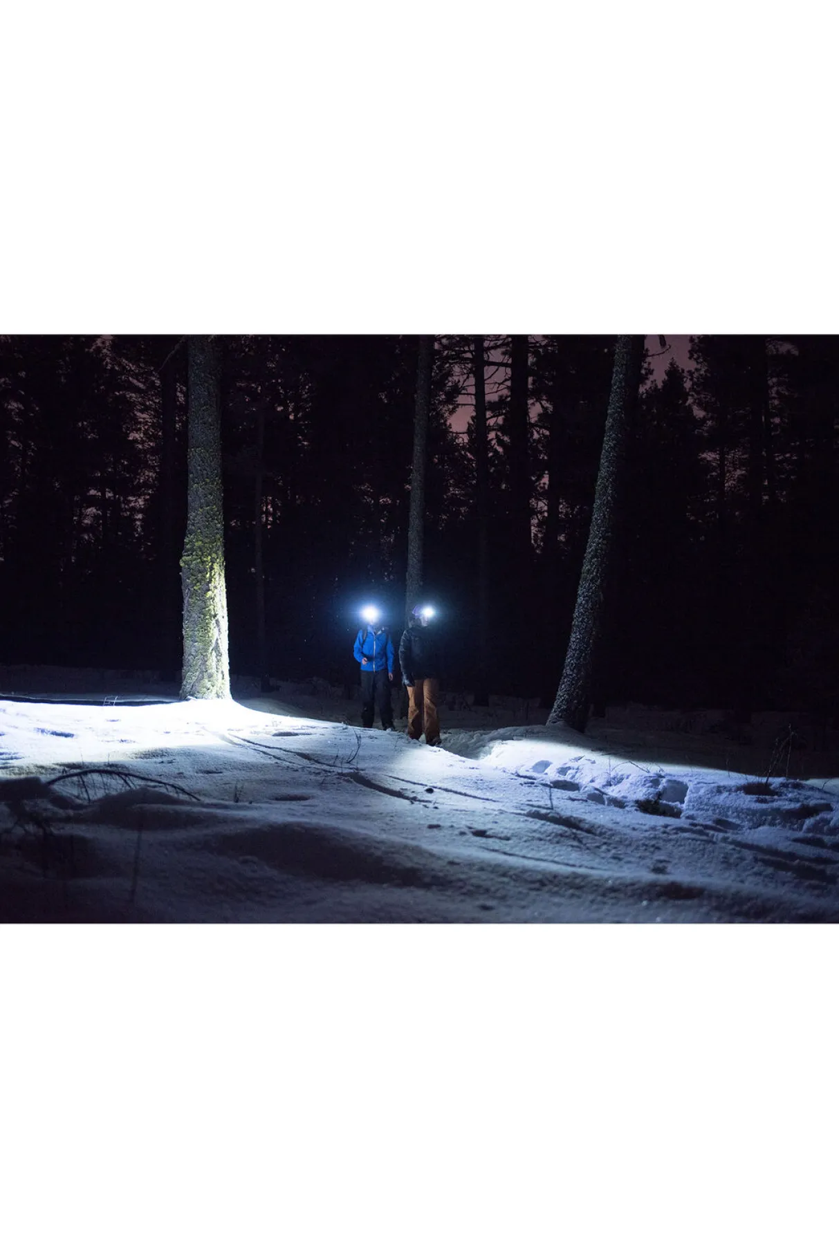 Macpac Head Torches & Lamps>Ledlenser Mh8 Head Torch