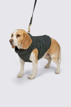 Macpac Dog Jackets> Dog Coat— M