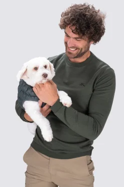 Macpac Dog Jackets><noscript><img width=