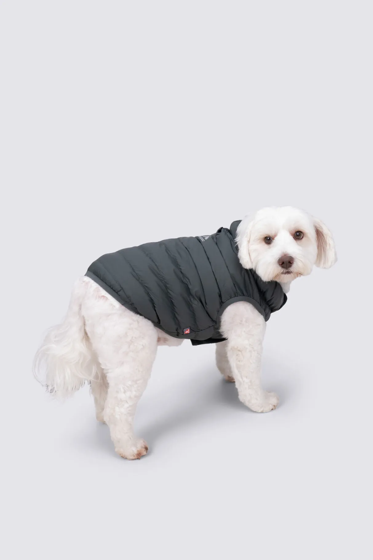 Macpac Dog Jackets> Dog Coat— S