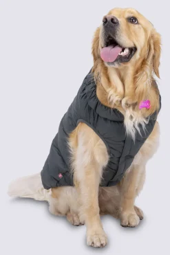Macpac Dog Jackets> Dog Coat— Xl
